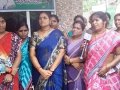ది.02-05-2019  తేదీని శ్రీ విశ్వ విజ్ఞాన విద్యా ఆధ్యాత్మిక పీఠం, పిఠాపురం వారి ఆధ్వర్యములో  ప.గో.జిల్లా, తాడేపల్లిగూడెం ఆశ్రమ శాఖ భవనము నందు పీఠం సభ్యులచే  పక్షులకు వరి కంకులను, మంచినీటి  చలివేంద్రమును ఏర్పాటు చేసిన దృశ్యమాలికలు.