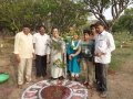 5 K run on World Environment Day in Hyderabad
