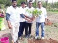 5 K run on World Environment Day in Hyderabad