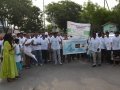 5 K run on World Environment Day in Hyderabad