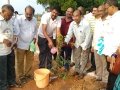Plantation of saplings by Sri Govinda Raju Circle Inspector of Police Sarpavaram.
