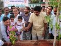 World Environment Protection Day organized by Umar Alisha Rural development Trust, Pithapuram at Main road under the Chairman ship of Peethadhipathi Dr Umar Alisha Swamy and Chief Guest Sri Pendem Dorababu, MLA and brothers of Swamy.