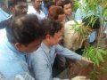 World Environment Protection Day organized by Umar Alisha Rural development Trust, Pithapuram at Main road under the Chairman ship of Peethadhipathi Dr Umar Alisha Swamy and Chief Guest Sri Pendem Dorababu, MLA and brothers of Swamy.