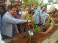 World Environment Protection Day organized by Umar Alisha Rural development Trust, Pithapuram at Main road under the Chairman ship of Peethadhipathi Dr Umar Alisha Swamy and Chief Guest Sri Pendem Dorababu, MLA and brothers of Swamy.