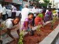 UARDT volunteers  participated plantting the sapling