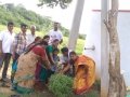 ది. 27 ఆగష్టు 2019 మంగళవారం ఏలూరు ఆశ్రమం, పశ్చిమ గోదావరి జిల్లా లో "నా మొక్క నా శ్వాస - రేపటి తరం కోసం" కార్యక్రమము నిర్వహించబడినది