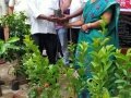ది. 5 సెప్టెంబర్ 2019 గురువారం తాడేపల్లిగూడెం, పశ్చిమ గోదావరి జిల్లా లో "నా మొక్క నా శ్వాస - రేపటి తరం కోసం" కార్యక్రమం నిర్వహించబడినది