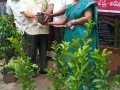 ది. 5 సెప్టెంబర్ 2019 గురువారం తాడేపల్లిగూడెం, పశ్చిమ గోదావరి జిల్లా లో "నా మొక్క నా శ్వాస - రేపటి తరం కోసం" కార్యక్రమం నిర్వహించబడినది