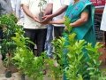 ది. 5 సెప్టెంబర్ 2019 గురువారం తాడేపల్లిగూడెం, పశ్చిమ గోదావరి జిల్లా లో "నా మొక్క నా శ్వాస - రేపటి తరం కోసం" కార్యక్రమం నిర్వహించబడినది