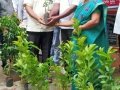 ది. 5 సెప్టెంబర్ 2019 గురువారం తాడేపల్లిగూడెం, పశ్చిమ గోదావరి జిల్లా లో "నా మొక్క నా శ్వాస - రేపటి తరం కోసం" కార్యక్రమం నిర్వహించబడినది