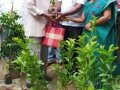 ది. 5 సెప్టెంబర్ 2019 గురువారం తాడేపల్లిగూడెం, పశ్చిమ గోదావరి జిల్లా లో "నా మొక్క నా శ్వాస - రేపటి తరం కోసం" కార్యక్రమం నిర్వహించబడినది