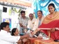 Distribution of plants on the occasion of  Vinayaka Chavithi Navarathrulu