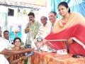 Distribution of plants on the occasion of  Vinayaka Chavithi Navarathrulu