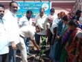 ది. 22 సెప్టెంబర్ 2019 గురువారం పైడిపర్రు, పశ్చిమ గోదావరి జిల్లా లో “నా మొక్క నా శ్వాస – రేపటి తరం కోసం” కార్యక్రమం నిర్వహించబడినది