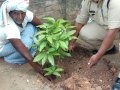 ది. 22 సెప్టెంబర్ 2019 గురువారం పైడిపర్రు, పశ్చిమ గోదావరి జిల్లా లో “నా మొక్క నా శ్వాస – రేపటి తరం కోసం” కార్యక్రమం నిర్వహించబడినది