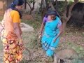 05-EnvironmentCleanliness-KahenaShahValiDargah-Tuni-30122019
