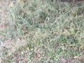 11-EnvironmentCleanliness-KahenaShahValiDargah-Tuni-30122019