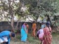16-EnvironmentCleanliness-KahenaShahValiDargah-Tuni-30122019