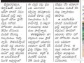02-CoronaVirus-NewsClippings-02022020