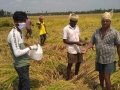 01-Coronavirus-Medicine-Pithapuram-Day8-17Apr2020