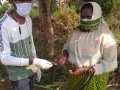 04-Coronavirus-Medicine-Pithapuram-Day8-17Apr2020