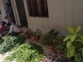 04-Coronavirus-Kakinada-19Apr2020