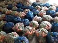 01 vegtables