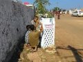 Volunteers painting tree guards