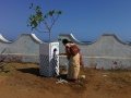 Volunteers painting tree guards