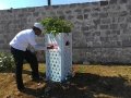 Volunteers painting tree guards
