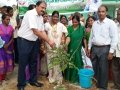 World Environment Day Rally at Kakinada 05-06-2015