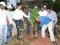 Andhra University Vice-Chancellor G.S.N. Raju has launched the tree plantation at Andhra University Campus. The convener of the UARDT Dr.Ananda Kumar Pingali, AU Registrar Prof V Uma Maheswara rao and AU staff has participated.