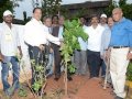Andhra University Vice-Chancellor G.S.N. Raju has launched the tree plantation at Andhra University Campus. The convener of the UARDT Dr.Ananda Kumar Pingali, AU Registrar Prof V Uma Maheswara rao and AU staff has participated.