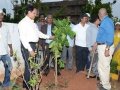 Andhra University Vice-Chancellor G.S.N. Raju has launched the tree plantation at Andhra University Campus. The convener of the UARDT Dr.Ananda Kumar Pingali, AU Registrar Prof V Uma Maheswara rao and AU staff has participated.