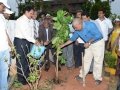 Andhra University Vice-Chancellor G.S.N. Raju has launched the tree plantation at Andhra University Campus. The convener of the UARDT Dr.Ananda Kumar Pingali, AU Registrar Prof V Uma Maheswara rao and AU staff has participated.