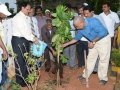 Andhra University Vice-Chancellor G.S.N. Raju has launched the tree plantation at Andhra University Campus. The convener of the UARDT Dr.Ananda Kumar Pingali, AU Registrar Prof V Uma Maheswara rao and AU staff has participated.