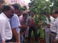 Second phase of plantation in AU campus. DR G S N Raju, Vice Chancellor Prof,  V Uma Maheswara Rao , Registrar, Prof E A Narayana, Rector, AU Arts College Principal, Prof M. sundara Rao, Dr Ananda Kumar Pingali, UARDT Convener and trust volunteers have participated