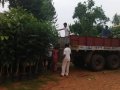 Second phase of plantation in AU campus. DR G S N Raju, Vice Chancellor Prof,  V Uma Maheswara Rao , Registrar, Prof E A Narayana, Rector, AU Arts College Principal, Prof M. sundara Rao, Dr Ananda Kumar Pingali, UARDT Convener and trust volunteers have participated