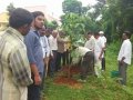 Second phase of plantation in AU campus. DR G S N Raju, Vice Chancellor Prof,  V Uma Maheswara Rao , Registrar, Prof E A Narayana, Rector, AU Arts College Principal, Prof M. sundara Rao, Dr Ananda Kumar Pingali, UARDT Convener and trust volunteers have participated
