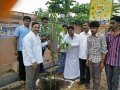 Plantation in Pithapuram as part of the Make Pithapuram Green Initiative