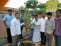 Plantation in Pithapuram as part of the Make Pithapuram Green Initiative