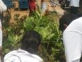 World Environment Day - Rally at KBR National Park, Hyderabad