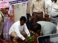 World Environment Day - Kakinada rally and plantation program