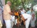 Planting a sapling at Gummuluru on the occasion of World Environment Day