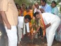 Planting a sapling at Gummuluru on the occasion of World Environment Day