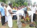 Planting a sapling at Gummuluru on the occasion of World Environment Day