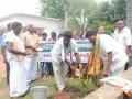 Planting a sapling at Gummuluru on the occasion of World Environment Day