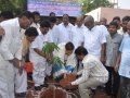 Inauguration of Make \'\'Tadepaligudam Green\'\' by  Sathguru Dr. Umar Alisha ,Paidikondala Manikyalarao.