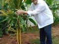 పరబ్రహ్మ శ్రీ మొహిద్దిన్ బాద్షా స్వామి 88 వ జయంతి సందర్భముగా సద్గురువర్యులు డాక్టర్ ఉమర్ అలీషా స్వామి వారు హైదరాబాద్ లో జులై 11 2021 న మొక్కలు నాటినారు.
