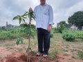 పరబ్రహ్మ శ్రీ మొహిద్దిన్ బాద్షా స్వామి 88 వ జయంతి సందర్భముగా సద్గురువర్యులు డాక్టర్ ఉమర్ అలీషా స్వామి వారు హైదరాబాద్ లో జులై 11 2021 న మొక్కలు నాటినారు.
